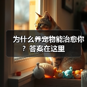 为什么养宠物能治愈你？答案在这里