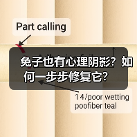 兔子也有心理阴影?如何一步步修复它?(图4) 兔子也有心理阴影?如何一步步修复它?(图4)