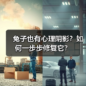 兔子也有心理阴影?如何一步步修复它?(图3) 兔子也有心理阴影?如何一步步修复它?(图3)