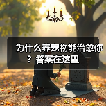 为什么养宠物能治愈你?答案在这里(图3) 为什么养宠物能治愈你?答案在这里(图3)