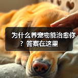为什么养宠物能治愈你?答案在这里(图4) 为什么养宠物能治愈你?答案在这里(图4)