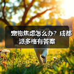 宠物焦虑怎么办?成都派多格有答案(图4) 宠物焦虑怎么办?成都派多格有答案(图4)