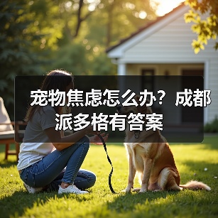 宠物焦虑怎么办?成都派多格有答案(图3) 宠物焦虑怎么办?成都派多格有答案(图3)