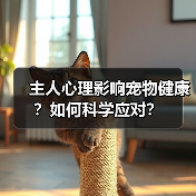 主人心理影响宠物健康?如何科学应对?(图1) 主人心理影响宠物健康?如何科学应对?(图1)