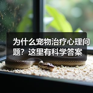 为什么宠物治疗心理问题?这里有科学答案(图3) 为什么宠物治疗心理问题?这里有科学答案(图3)