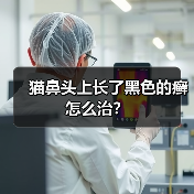 猫鼻头上长了黑色的癣怎么治?(图2) 猫鼻头上长了黑色的癣怎么治?(图2)