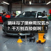 猫咪得了猫癣用双氧水?千万别直接倒啊!!(图1) 猫咪得了猫癣用双氧水?千万别直接倒啊!!(图1)