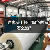 猫鼻头上长了黑色的癣怎么治？