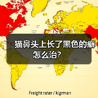 猫鼻头上长了黑色的癣怎么治?(图4) 猫鼻头上长了黑色的癣怎么治?(图4)