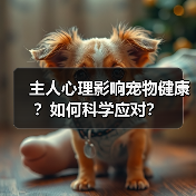 主人心理影响宠物健康?如何科学应对?(图4) 主人心理影响宠物健康?如何科学应对?(图4)