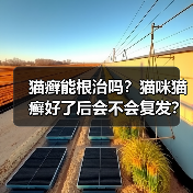 猫癣能根治吗?猫咪猫癣好了后会不会复发?(图1) 猫癣能根治吗?猫咪猫癣好了后会不会复发?(图1)