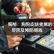 揭秘:狗狗皮肤变黑的原因及预防措施(图3) 揭秘:狗狗皮肤变黑的原因及预防措施(图3)