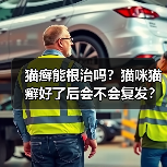 猫癣能根治吗？猫咪猫癣好了后会不会复发？
