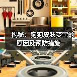 揭秘:狗狗皮肤变黑的原因及预防措施(图4) 揭秘:狗狗皮肤变黑的原因及预防措施(图4)