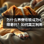 为什么养宠物能成为心理寄托?如何真正利用它?(图3) 为什么养宠物能成为心理寄托?如何真正利用它?(图3)