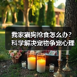 我家猫狗抢食怎么办?科学解决宠物争宠心理问题(图1) 我家猫狗抢食怎么办?科学解决宠物争宠心理问题(图1)