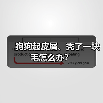 狗狗起皮屑、秃了一块毛怎么办?(图1) 狗狗起皮屑、秃了一块毛怎么办?(图1)