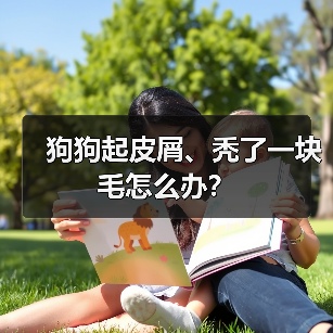 狗狗起皮屑、秃了一块毛怎么办？