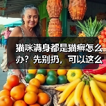 猫咪满身都是猫癣怎么办?先别扔,可以这么治!(图1) 猫咪满身都是猫癣怎么办?先别扔,可以这么治!(图1)
