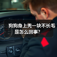 狗狗身上秃一块不长毛是怎么回事？
