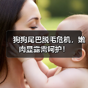 狗狗尾巴脱毛危机,嫩肉显露需呵护!(图4) 狗狗尾巴脱毛危机,嫩肉显露需呵护!(图4)