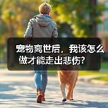 宠物离世后，我该怎么做才能走出悲伤？