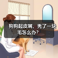 狗狗起皮屑、秃了一块毛怎么办?(图4) 狗狗起皮屑、秃了一块毛怎么办?(图4)