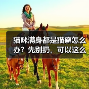 猫咪满身都是猫癣怎么办?先别扔,可以这么治!(图2) 猫咪满身都是猫癣怎么办?先别扔,可以这么治!(图2)