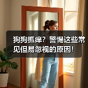 狗狗抓痒?警惕这些常见但易忽视的原因!(图1) 狗狗抓痒?警惕这些常见但易忽视的原因!(图1)