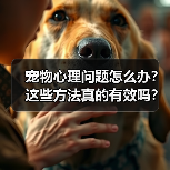 宠物心理问题怎么办?这些方法真的有效吗?(图1) 宠物心理问题怎么办?这些方法真的有效吗?(图1)