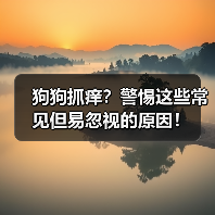 狗狗抓痒?警惕这些常见但易忽视的原因!(图2) 狗狗抓痒?警惕这些常见但易忽视的原因!(图2)