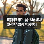 狗狗抓痒？警惕这些常见但易忽视的原因！