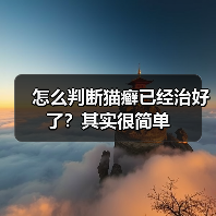 怎么判断猫癣已经治好了?其实很简单(图2) 怎么判断猫癣已经治好了?其实很简单(图2)