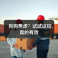 狗狗焦虑？试试这招，真的有效