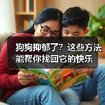 狗狗抑郁了？这些方法能帮你找回它的快乐