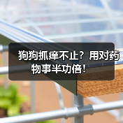 狗狗抓痒不止?用对药物事半功倍!(图3) 狗狗抓痒不止?用对药物事半功倍!(图3)