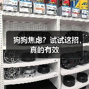 狗狗焦虑?试试这招,真的有效(图4) 狗狗焦虑?试试这招,真的有效(图4)