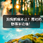 狗狗抓痒不止?用对药物事半功倍!(图4) 狗狗抓痒不止?用对药物事半功倍!(图4)