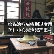 给猫治疗猫癣别过度用药!小心越治越严重~(图3) 给猫治疗猫癣别过度用药!小心越治越严重~(图3)