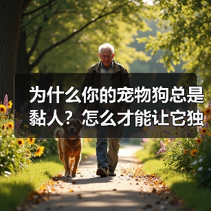 为什么你的宠物狗总是黏人？怎么才能让它独立？