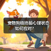 宠物狗临终前心理状态如何应对？