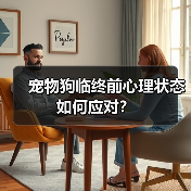 宠物狗临终前心理状态如何应对?(图4) 宠物狗临终前心理状态如何应对?(图4)