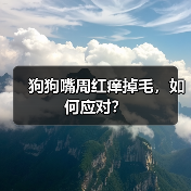 狗狗嘴周红痒掉毛，如何应对？