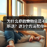 为什么你的宠物总是不听话?这3个方法帮你解决(图1) 为什么你的宠物总是不听话?这3个方法帮你解决(图1)