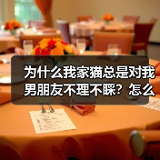 为什么我家猫总是对我男朋友不理不睬？怎么解决？（图1）