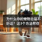 为什么你的宠物总是不听话？这3个方法帮你解决