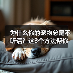 为什么你的宠物总是不听话?这3个方法帮你解决(图2) 为什么你的宠物总是不听话?这3个方法帮你解决(图2)