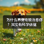 为什么养宠物能治愈你?其实有科学依据(图1) 为什么养宠物能治愈你?其实有科学依据(图1)