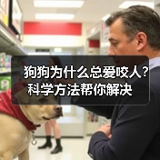 狗狗为什么总爱咬人？科学方法帮你解决