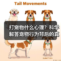 打宠物什么心理?科学解答宠物行为背后的真相(图2) 打宠物什么心理?科学解答宠物行为背后的真相(图2)